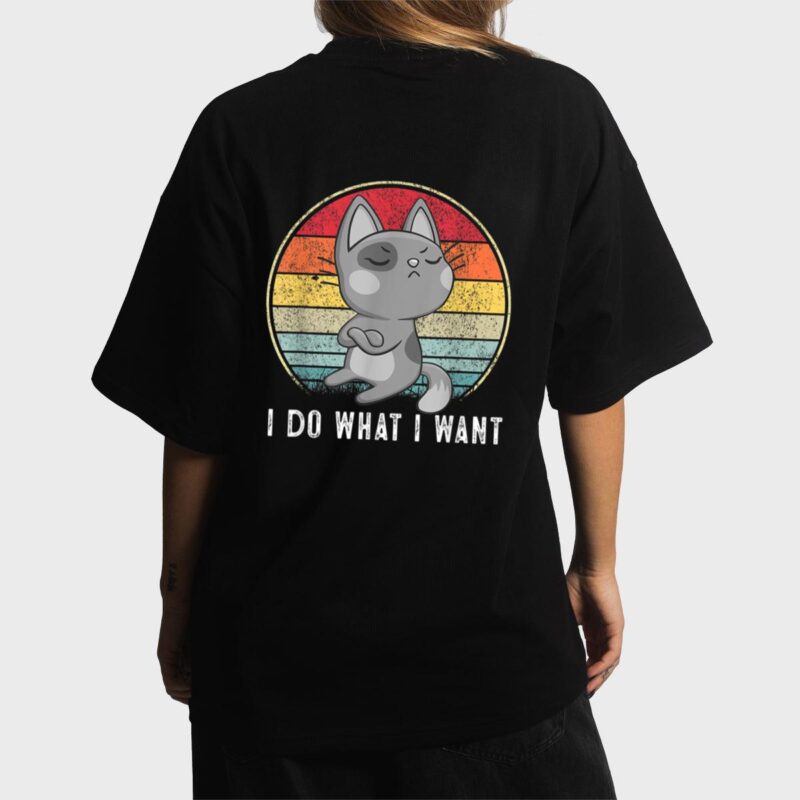 Cute Cat Lovers I Do What I Want Cat  Funny Cat Women T-Shirt